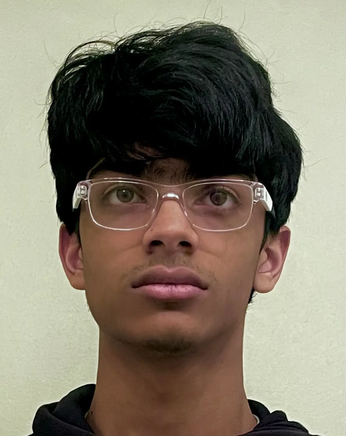Aryan Das